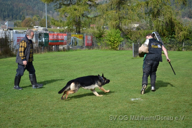 DSC_1684.JPG