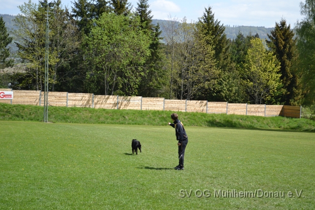 DSC_1102.JPG
