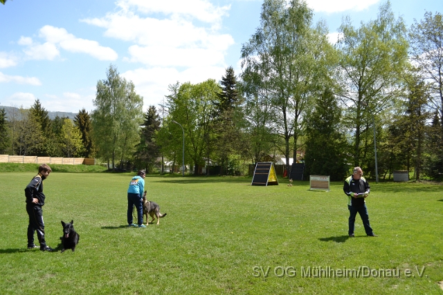 DSC_1105.JPG