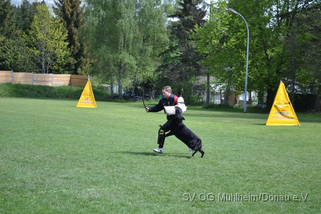 DSC_1114.JPG