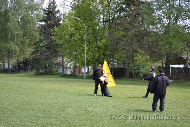 DSC_1115.JPG