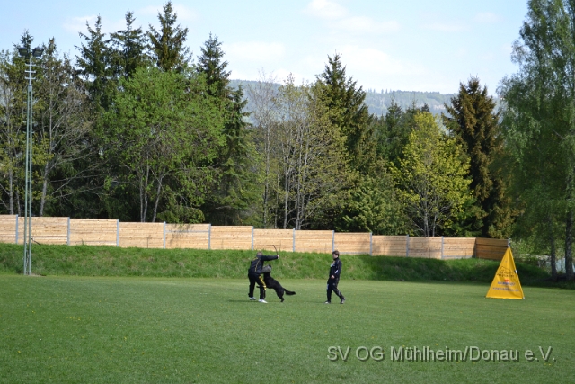 DSC_1116.JPG
