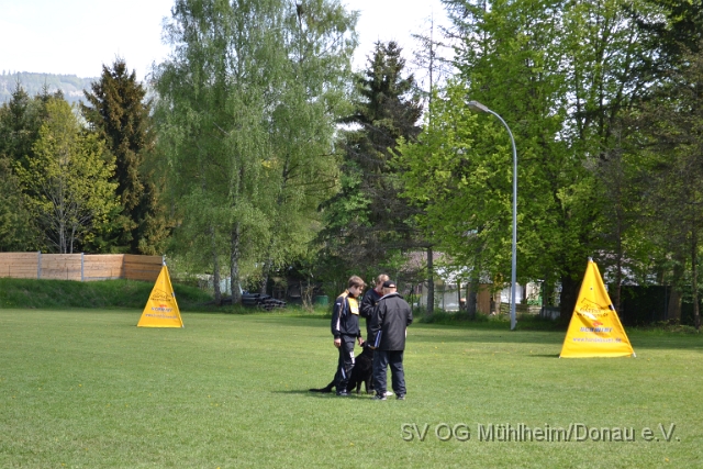 DSC_1117.JPG