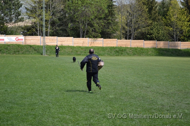DSC_1118.JPG
