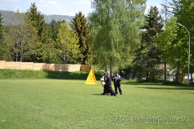 DSC_1121.JPG