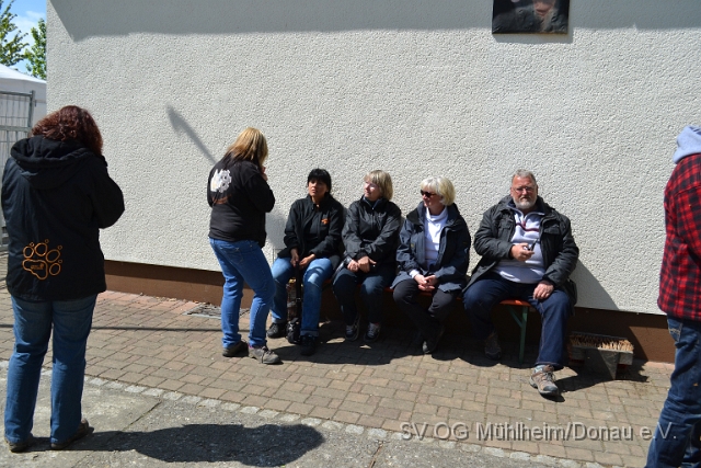 DSC_1125.JPG