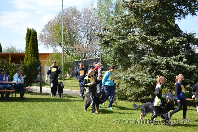 DSC_1130.JPG