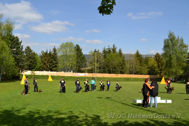 DSC_1132.JPG