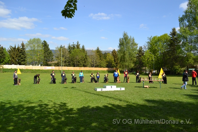 DSC_1133.JPG