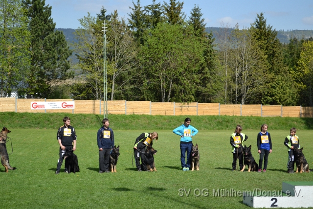 DSC_1135.JPG