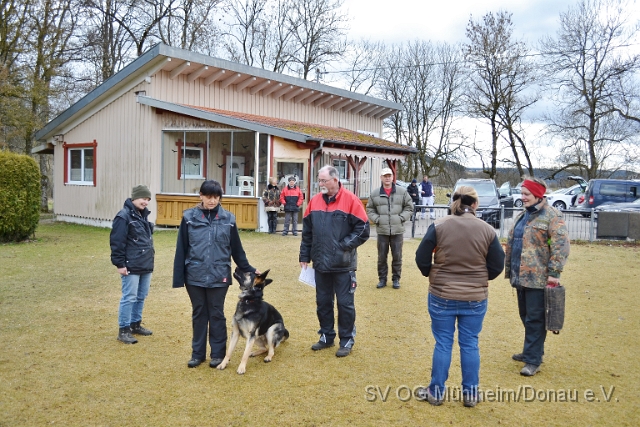 DSC_0684.JPG