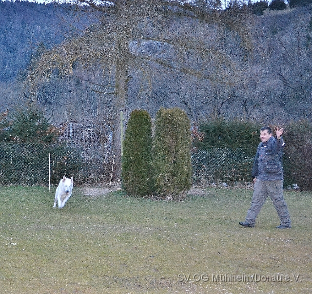 DSC_0771.JPG