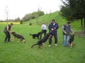 IMG 0390