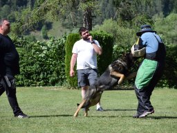 2026_besuch_og_cham_dsc_0099_4
