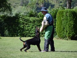 2026_besuch_og_cham_dsc_0137_6