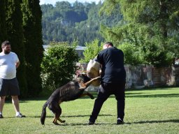 2026_besuch_og_cham_dsc_0239_18