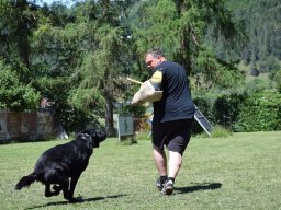 2026_besuch_og_cham_dsc_0708_33