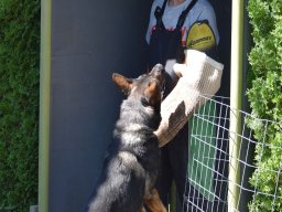 2026_besuch_og_cham_dsc_0942_6