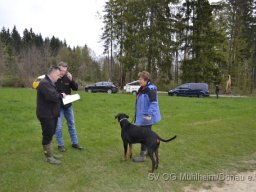 Frühjahrsprüfung 23.04.2016