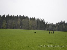 Frühjahrsprüfung 23.04.2016