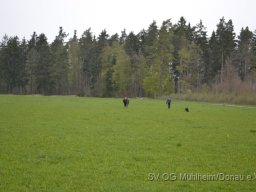 Frühjahrsprüfung 23.04.2016