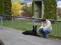 Frühjahrsprüfung 23.04.2016