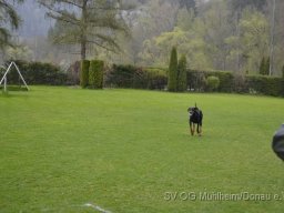 Frühjahrsprüfung 23.04.2016