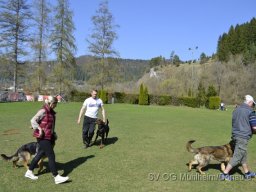 Bilder 2017 &raquo; Übungsbetrieb 2017